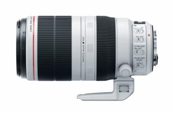 Объектив Canon EF 100-400mm f/4.5-5.6L IS II USM (9524B005): 2