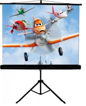 Экран мобильный на треноге Walfix 120" SNT-4 (180*240, 4:3): 1