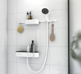 Набор акссесуаров HANSGROHE WALLSTORIS 24250700: 1