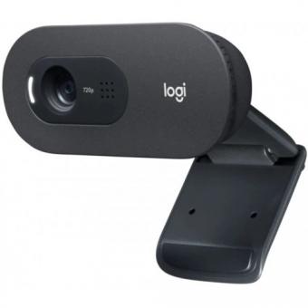 Веб-камера Logitech C505 Black (960-001364): 1