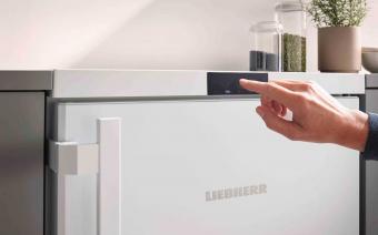 Морозильная камера LIEBHERR FNe 1404: 6