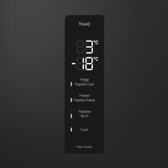 Холодильник LG GC-B509FTZW: 7