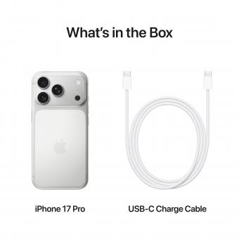 Смартфон Apple iPhone 17 Pro 512GB Silver (MG8K4AF/A): 9