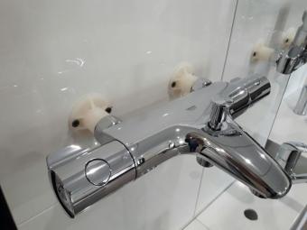 Термостат для душу GROHE Grohtherm 800 34567000: 5