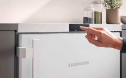 Морозильна камера LIEBHERR FNe 1404: 6