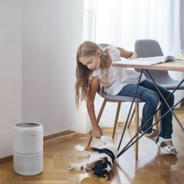 Очищувач повітря Levoit Air Purifier Core P350 Pet Care (HEAPAPLVNEU0035): 4