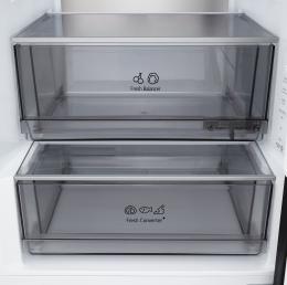 Холодильник LG GC-B509ETTM: 5