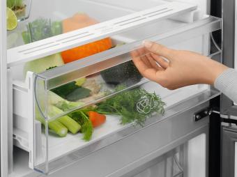 Холодильник Electrolux LNT5ME36U1: 3